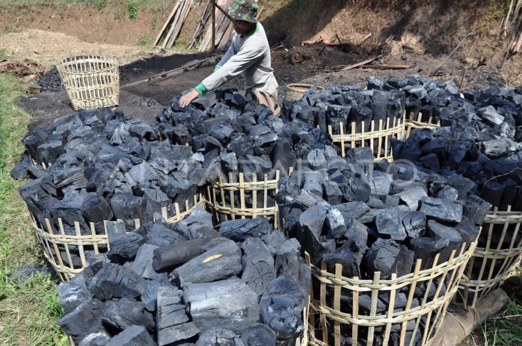 Premium Wood Charcoal